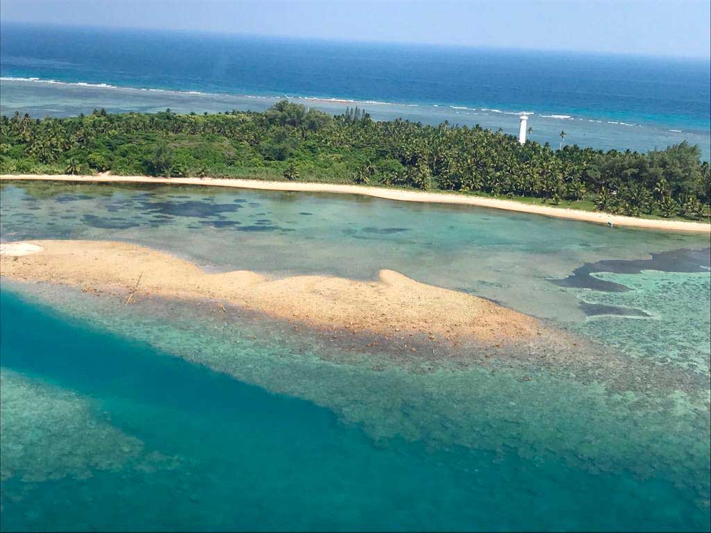 Empresa que dañó arrecife Lobos-Tuxpan inicia restauración del daño