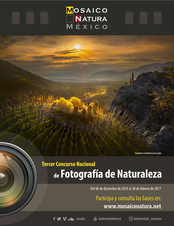 Conabio invita a su Tercer Concurso Nacional de Fotografía de Naturaleza