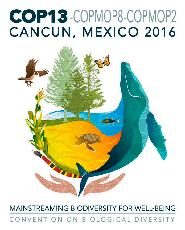 COP13 Busca Incorporar Biodiversidad En Políticas • Teorema Ambiental